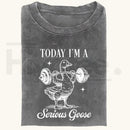 Funny Goose Gym Vintage Washed T-Shirt – Heavyweight 230g Graphic Oversized Tee