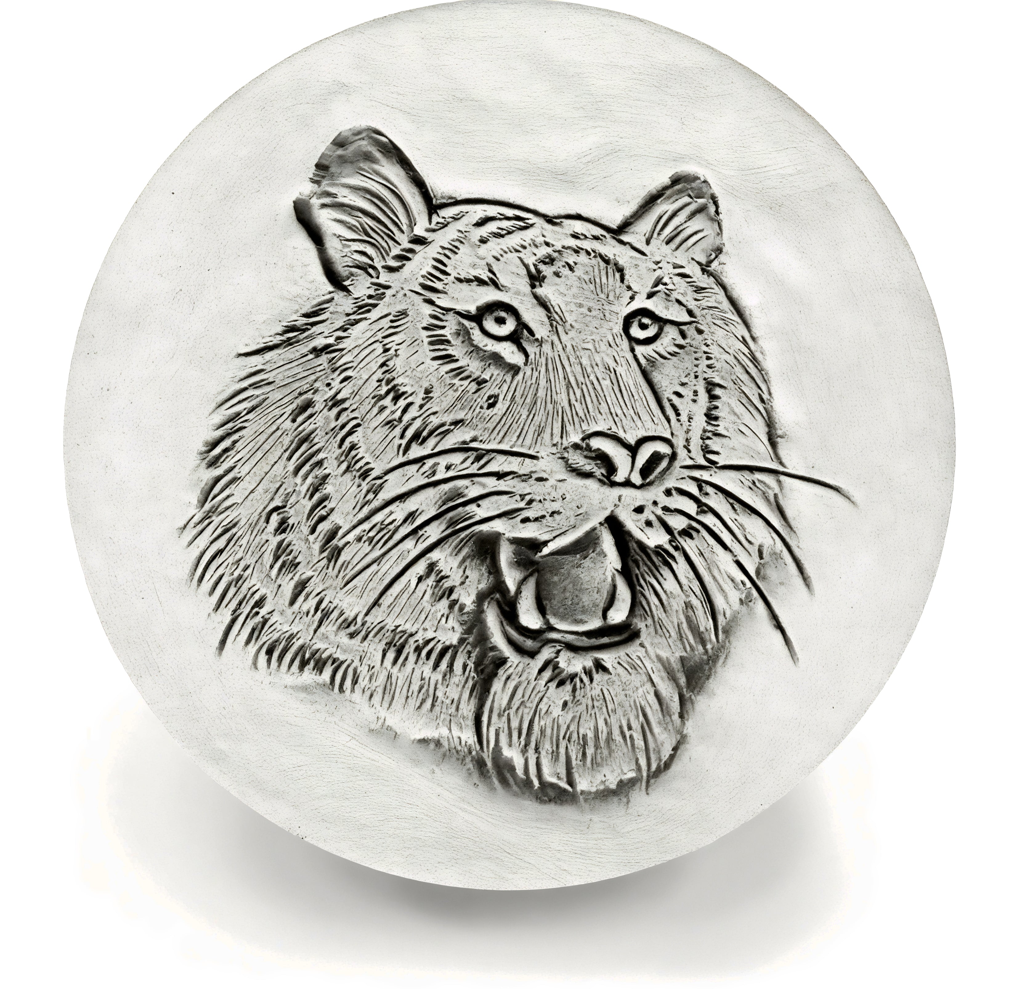 Tiger Drink Coasters