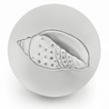 Junonia Shell Drink Coasters