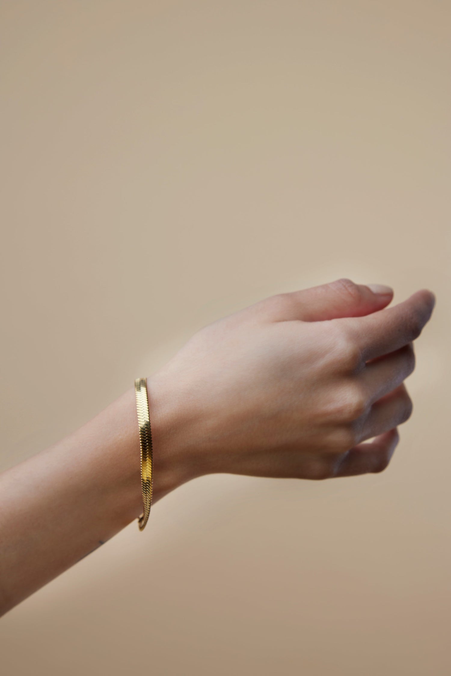 Snake Chain Bracelets