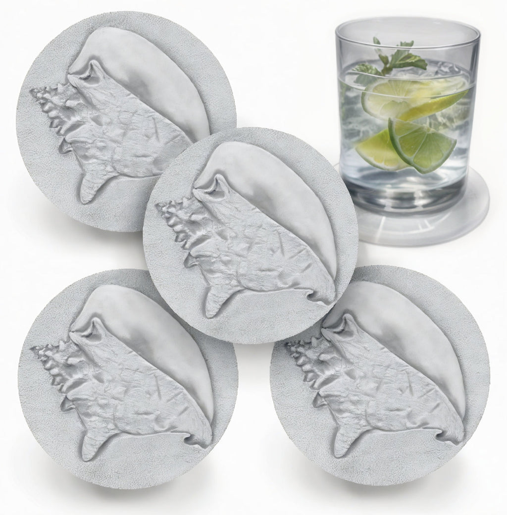 Conch Shell Drink Coasters