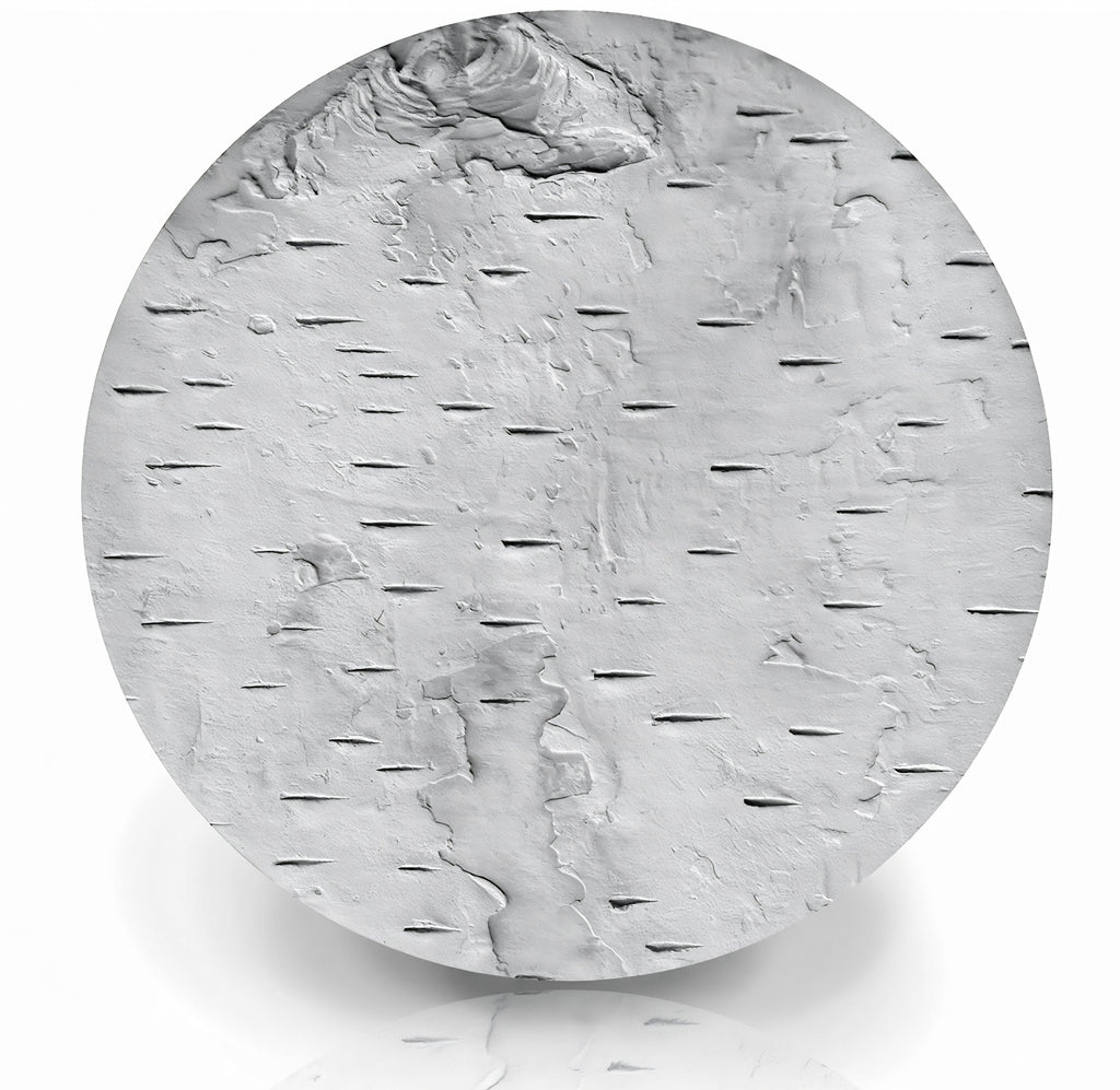 Birch Bark Drink Coasters