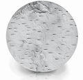 Birch Bark Drink Coasters