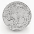 Buffalo Nickel Drink Coasters