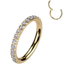 18G Micro Gem Titanium Hinged Nose Hoop