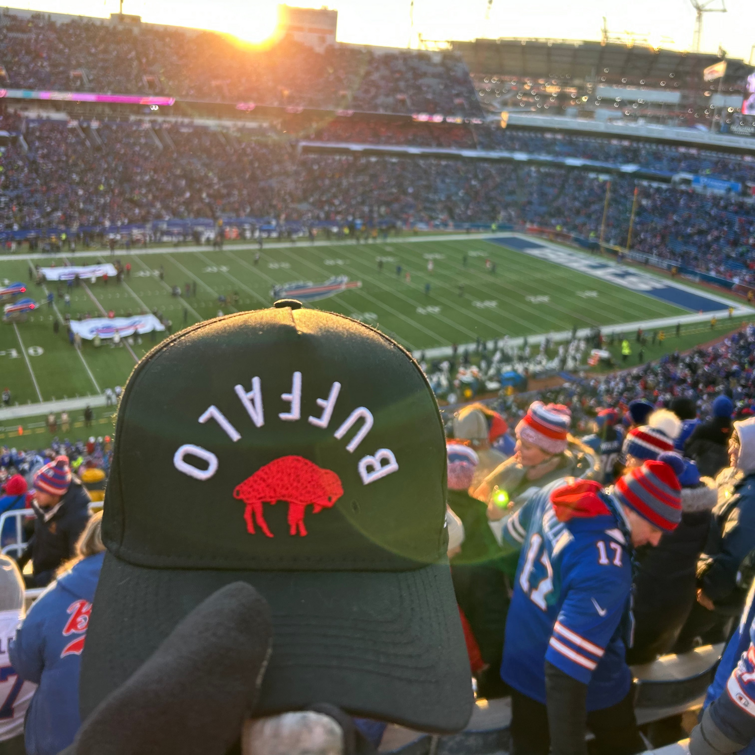 Buffalo Flip Cap