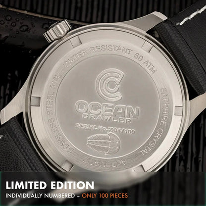 Dream Diver - Polar Ice Meteorite - Preorder