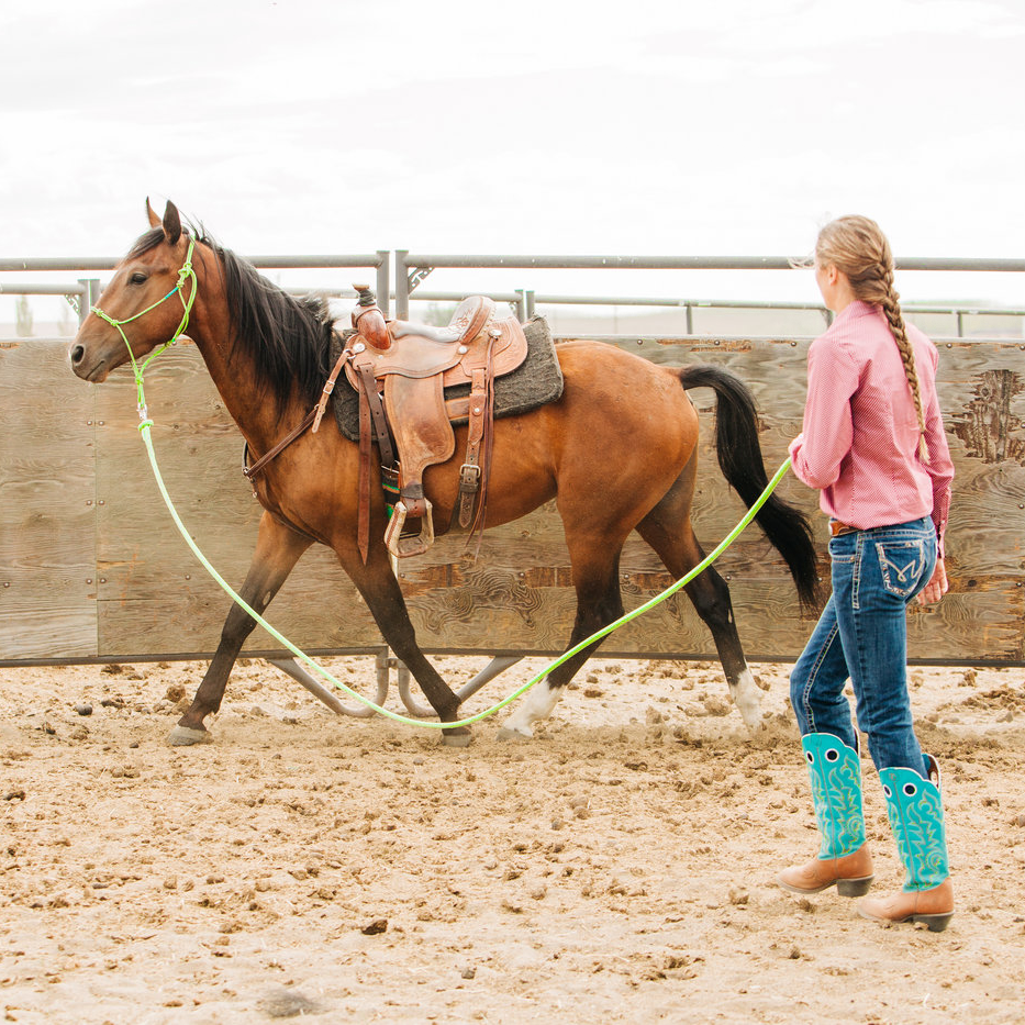 Stiff 4 Knot Clinician Training Halter