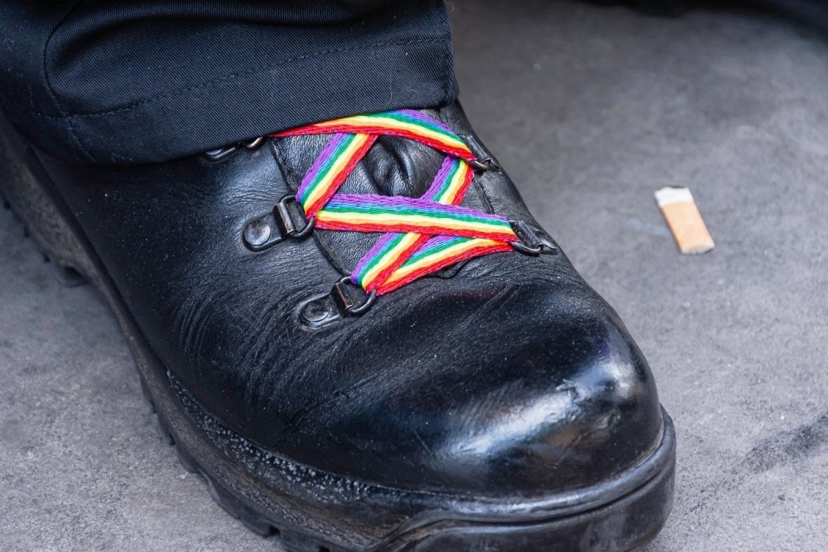 Rainbow Flag Shoe Laces (1 Pair)