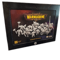 Warmachine: Cygnar - Storm Legion Auxiliary Expansion